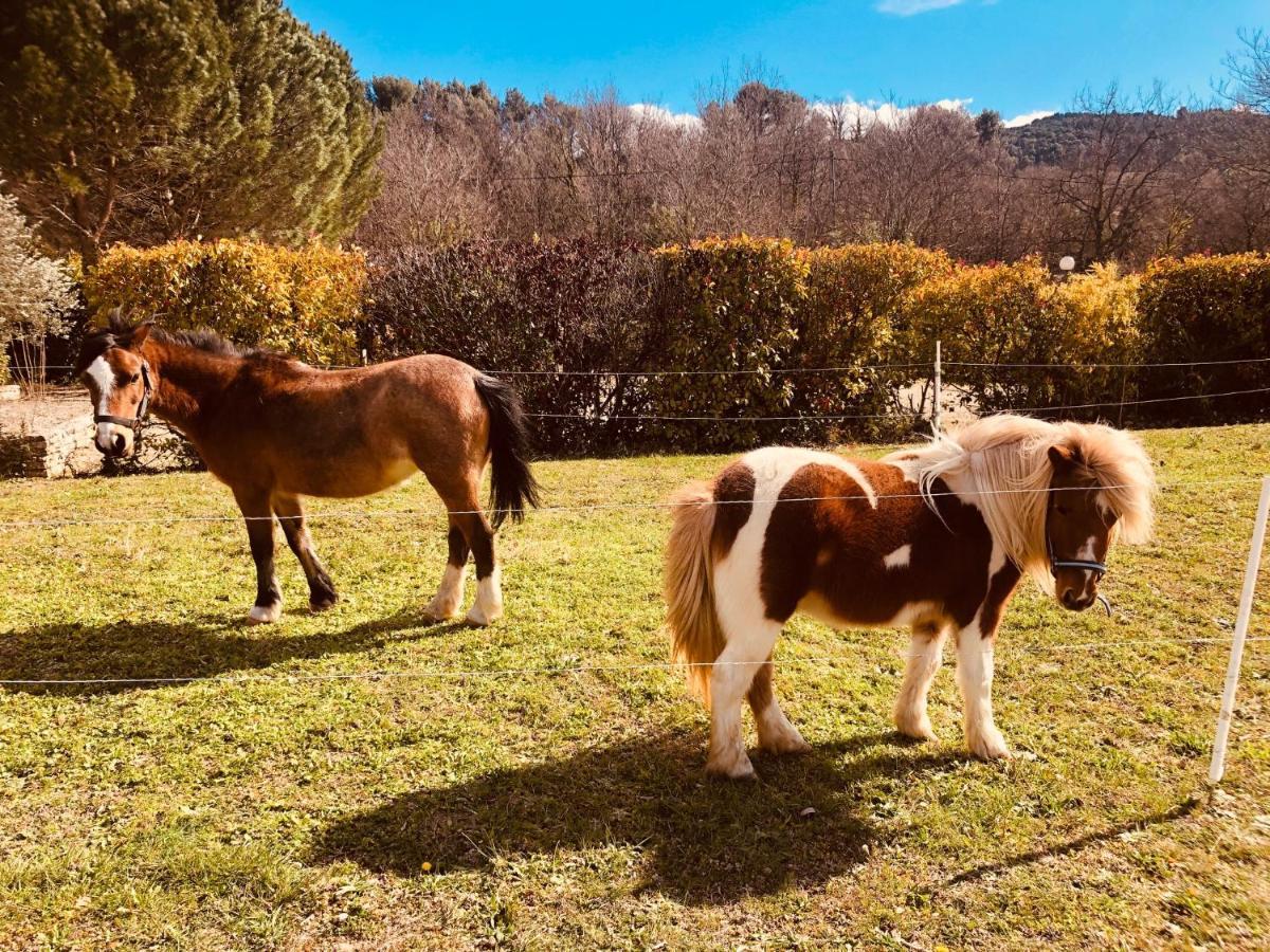 Domaine Des Bridoux Village De Gites Mirabel-aux-Baronnies ภายนอก รูปภาพ