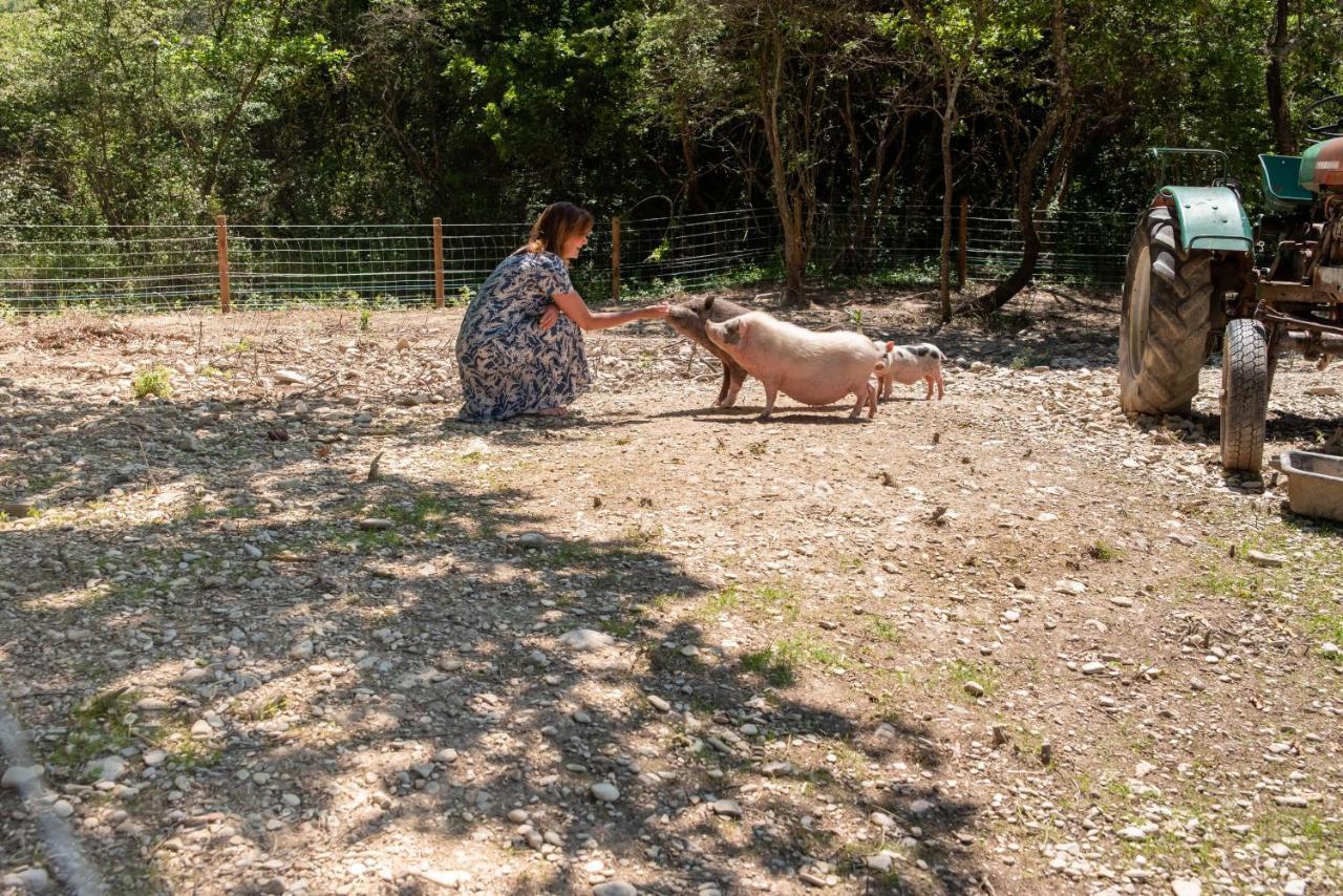 Domaine Des Bridoux Village De Gites Mirabel-aux-Baronnies ภายนอก รูปภาพ
