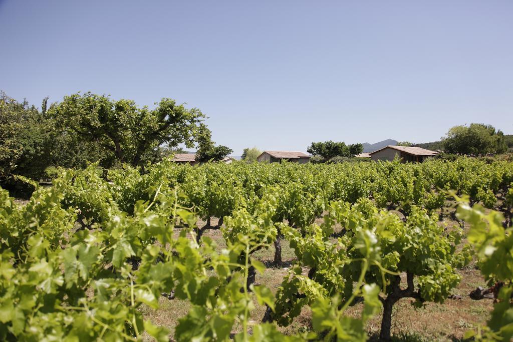 Domaine Des Bridoux Village De Gites Mirabel-aux-Baronnies ภายนอก รูปภาพ